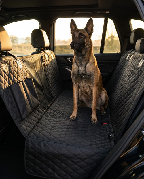 Dog on black Caboose back-seat cover